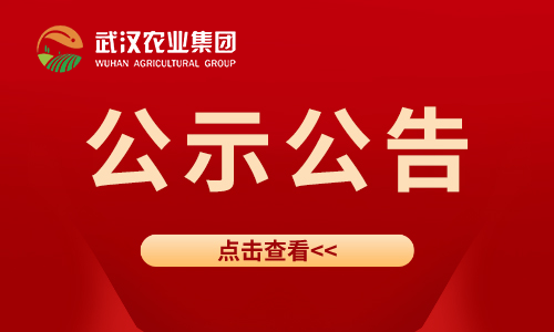 3868la银河总站(集团)股份有限公司 - Make It Possible